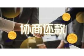 金城江融资清欠服务