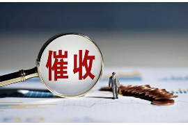 金城江工资清欠服务