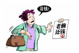 金城江贷款清欠服务